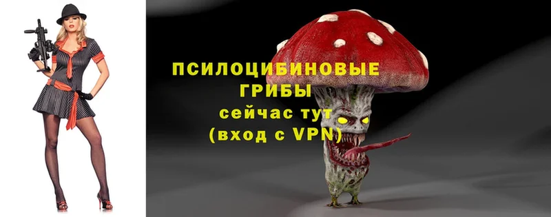 Галлюциногенные грибы Magic Shrooms  Кыштым 